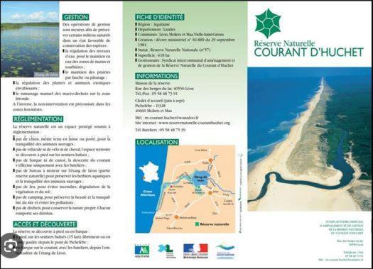 Apartamento Duplex Entre Foret Et Ocean - Chez Alex & Max