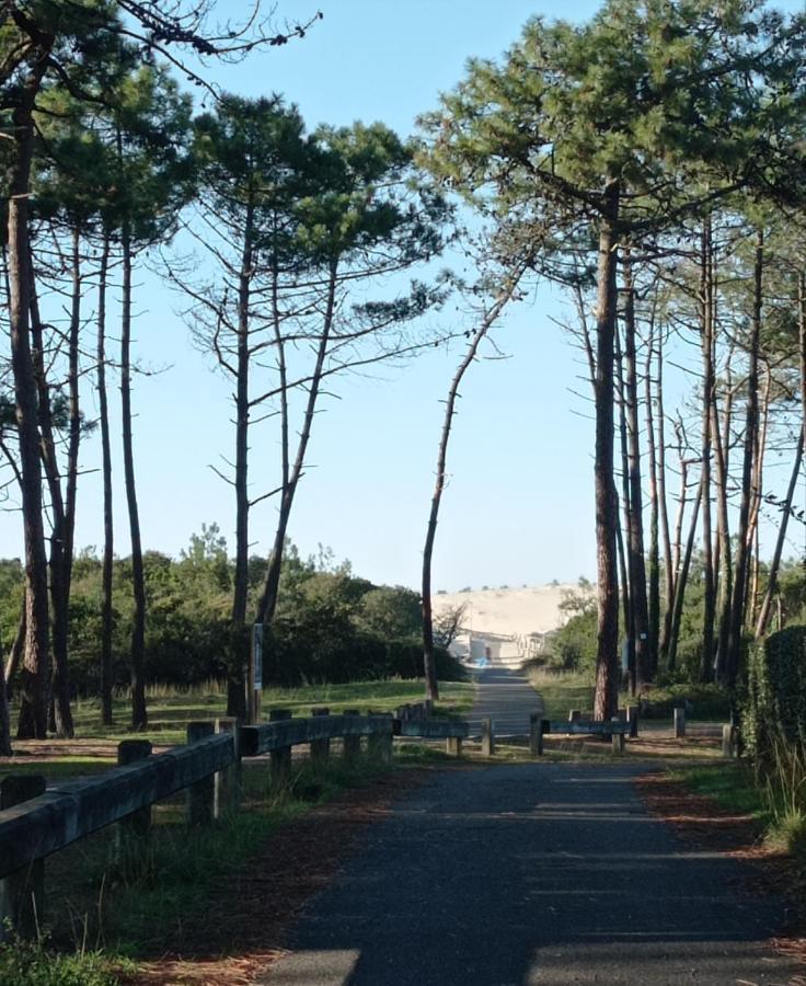 Apartment Duplex Entre Foret Et Ocean - Chez Alex & Max *