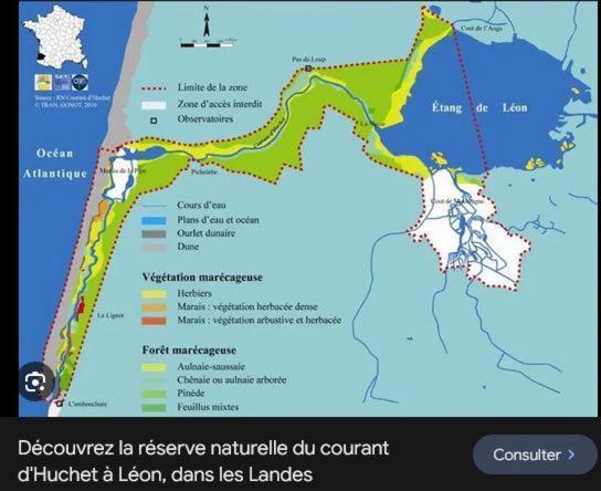 Duplex Entre Foret Et Ocean - Chez Alex & Max * Moliets-et-Maa